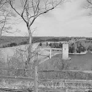 Toni - Your Host at Cottage 37