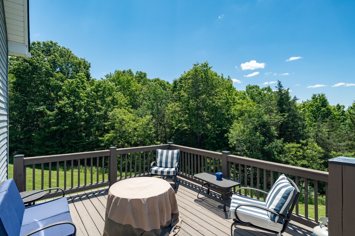 Lower deck seating and surrounding trees