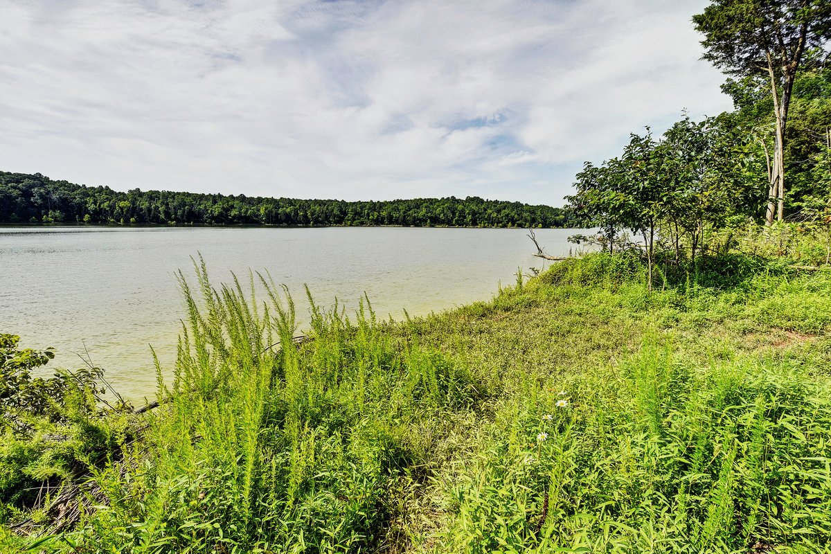 Shoreline beside the resort trails